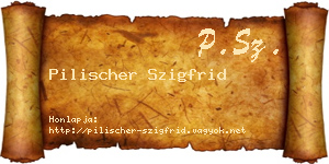 Pilischer Szigfrid névjegykártya